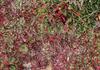 VISUAL ART Banner Photo