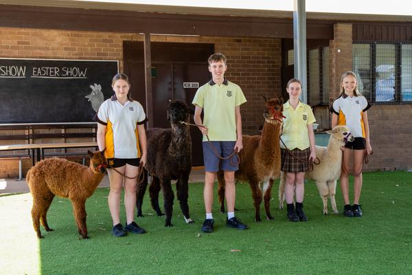 Agriculture Banner Photo