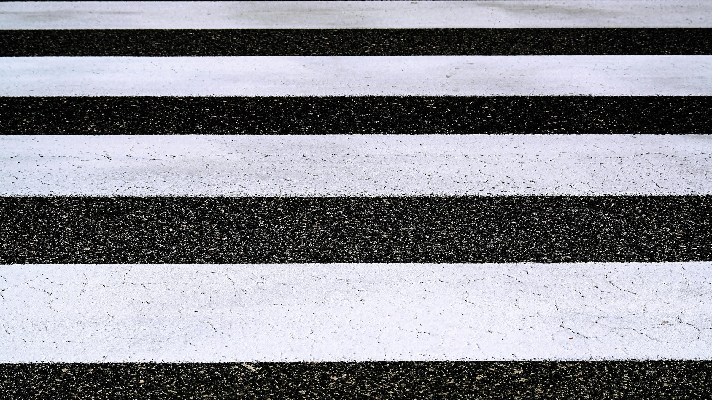 Banner Photo