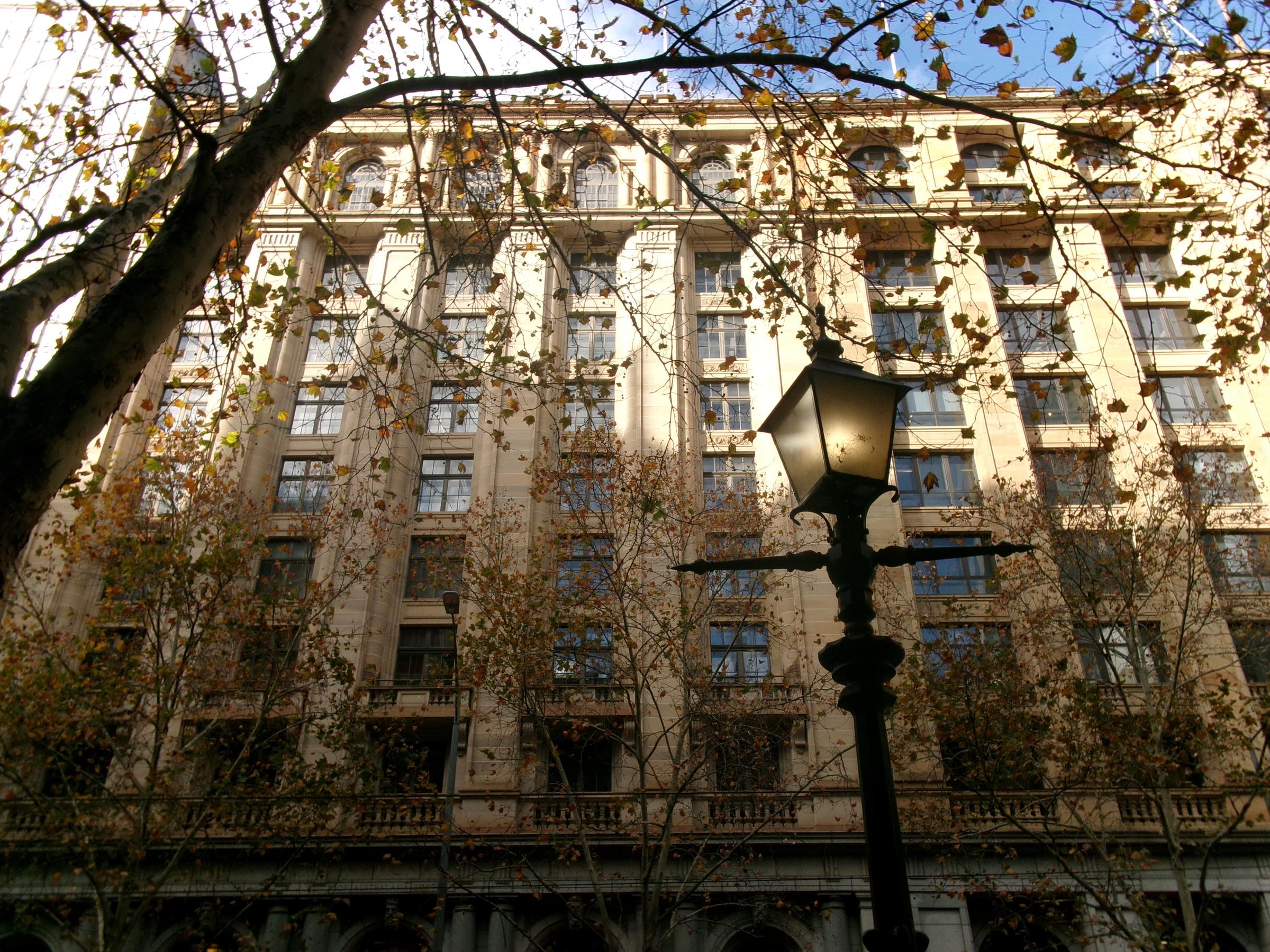 Banner Photo