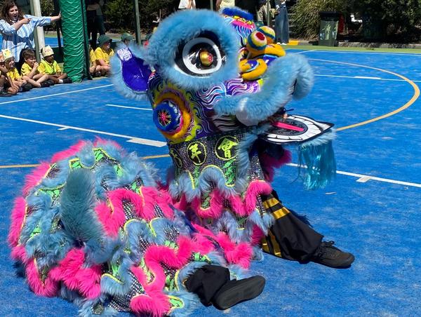 Student Gallery Banner Photo