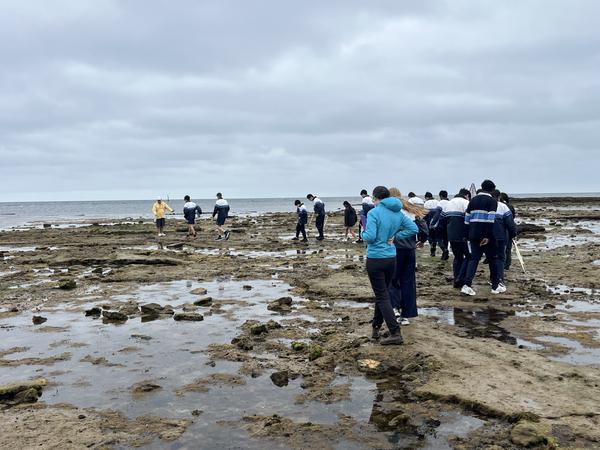 News and Excursions Banner Photo
