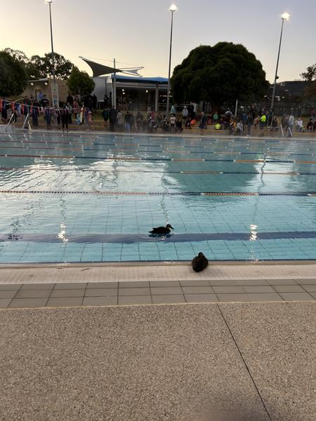 Celebrating achievements Banner Photo