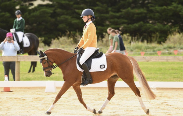Last Chance to Get Qualified for the PCV State Horse Trials! Banner Photo
