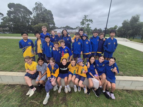 Division Swimming Carnival Banner Photo