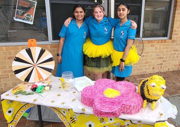 Climate Canons Banner Photo