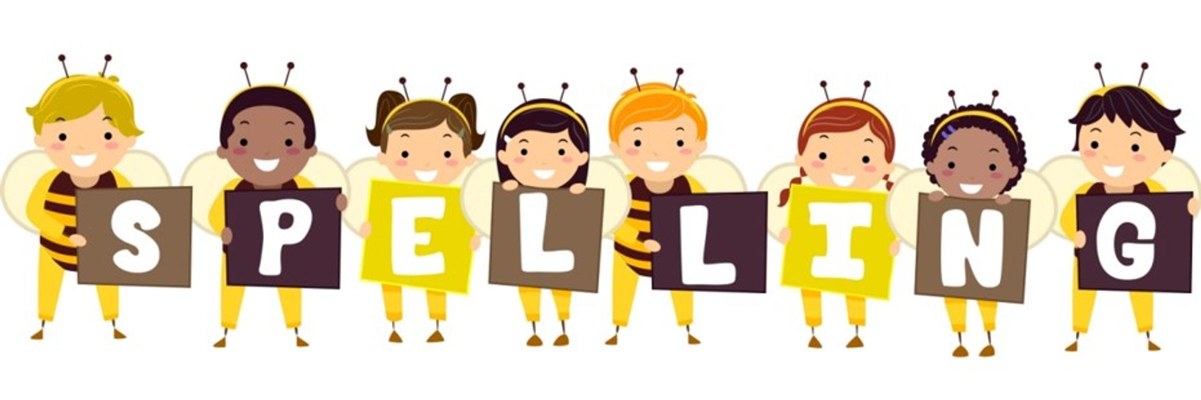 Year 3/4 Bulletin Banner Photo