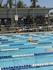 Zone Swimming Carnival  Banner Photo