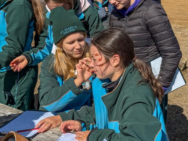 Senior School News Banner Photo