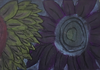 Classroom Clippings Banner Photo