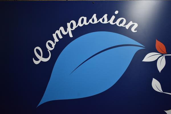 Wellbeing News Banner Photo