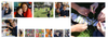                                                         Classroom Insights Banner Photo