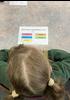 Positive Behaviours for Learning (PBL) Banner Photo