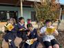 Principal's Message Banner Photo