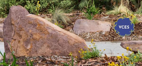 Victorian Challenge and Enrichment  Banner Photo