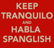 Spanglish get-together Banner Photo