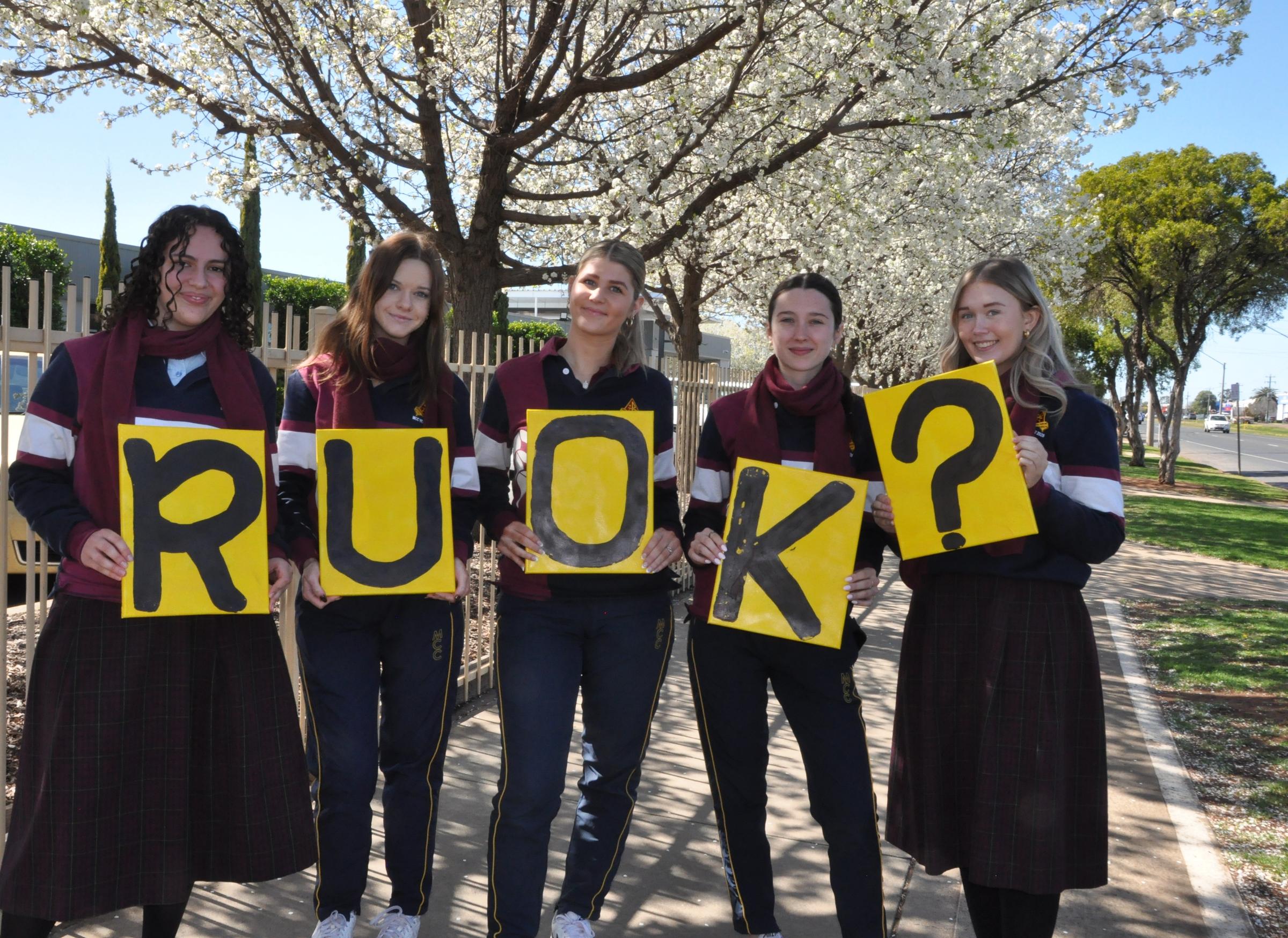Banner Photo