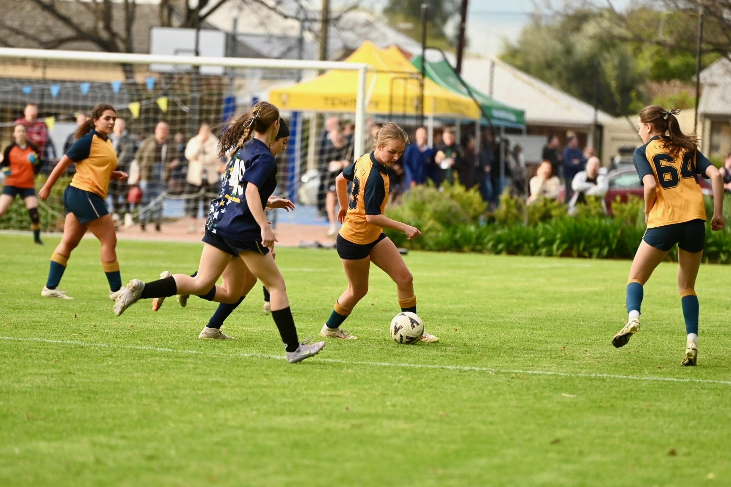 Banner Photo