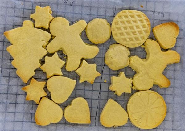 SLC - Student Voice Banner Photo