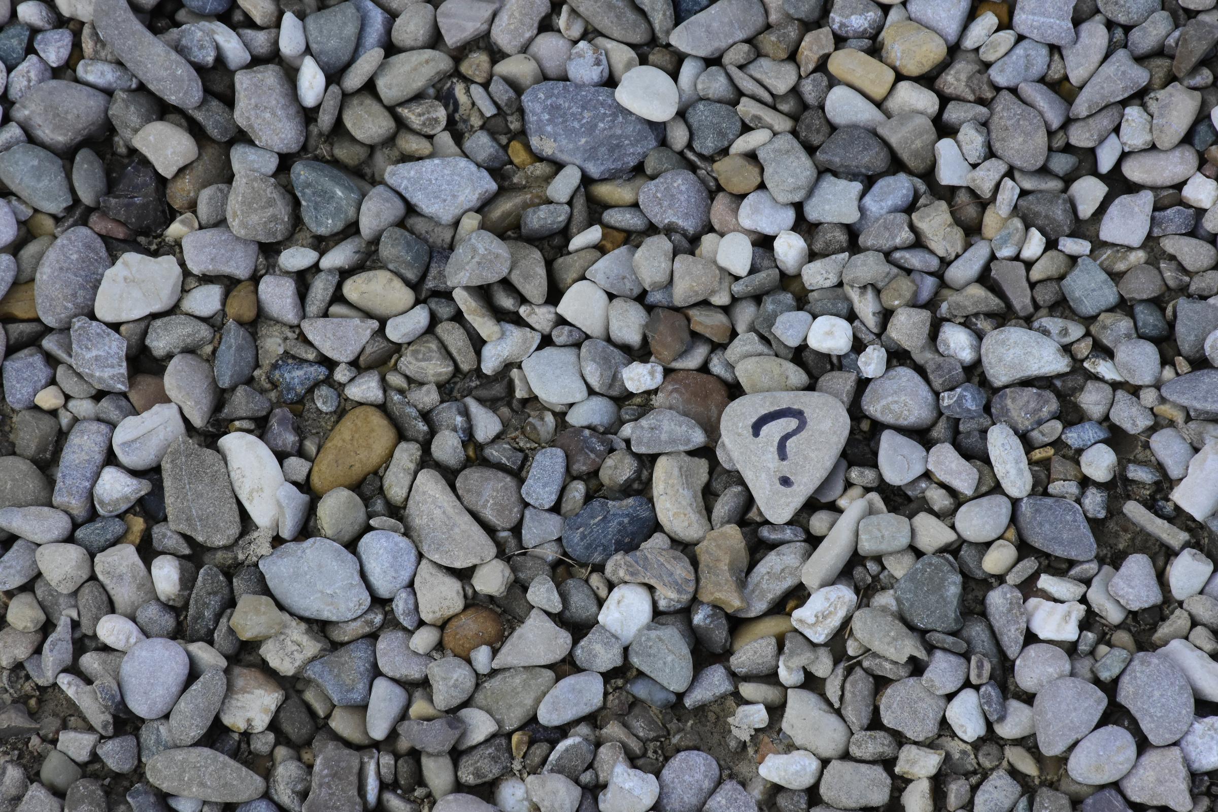 Banner Photo