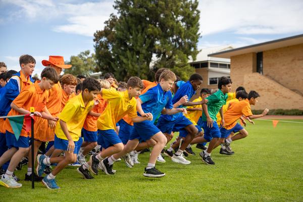 Year 7  Banner Photo