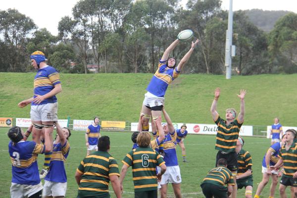 Senior School Sport Banner Photo