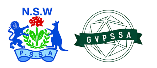 Zone Athletics Carnival Banner Photo