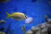 7E "Life in Water"  Banner Photo