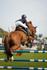 Sport: Lacy Solimo Banner Photo