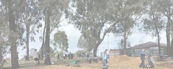 Sustainability Banner Photo