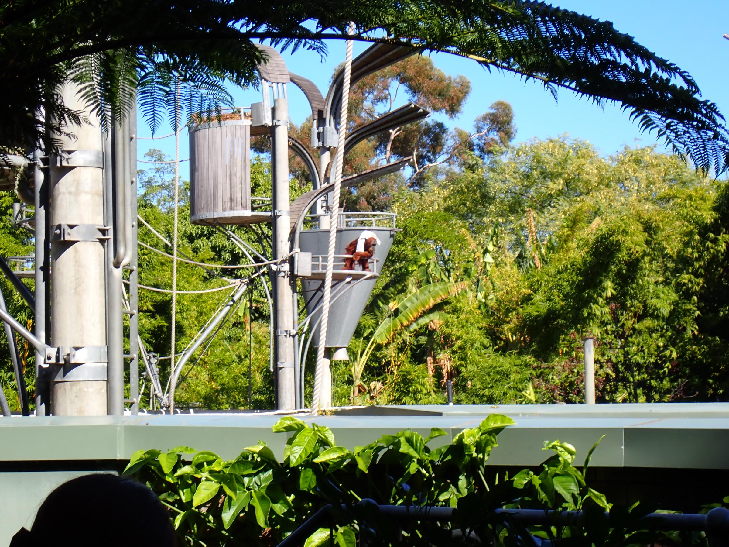 Banner Photo