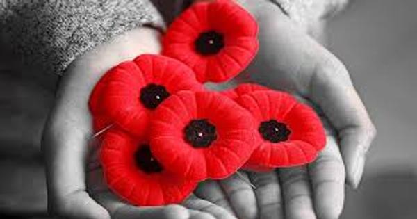 Remembrance Day Banner Photo