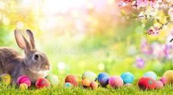 Library News Banner Photo