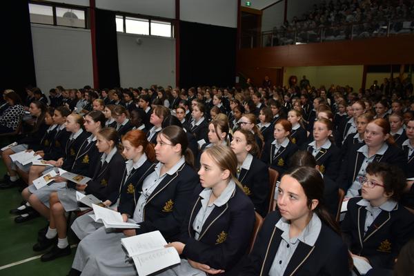 Primary News Banner Photo