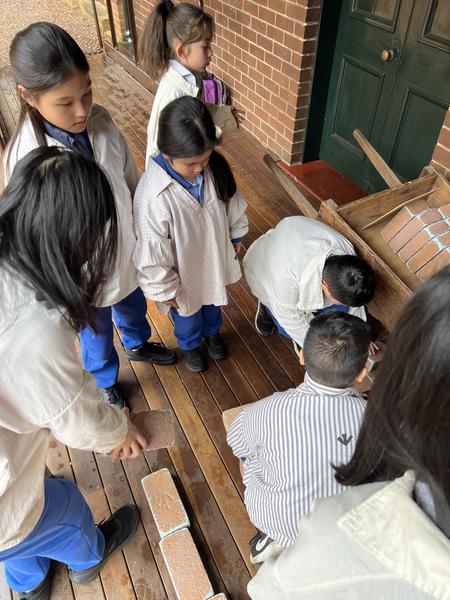 Year 4 Excursion Banner Photo