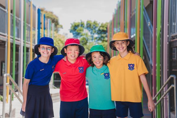 School News Banner Photo