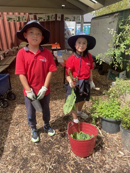 Principal's Report Banner Photo