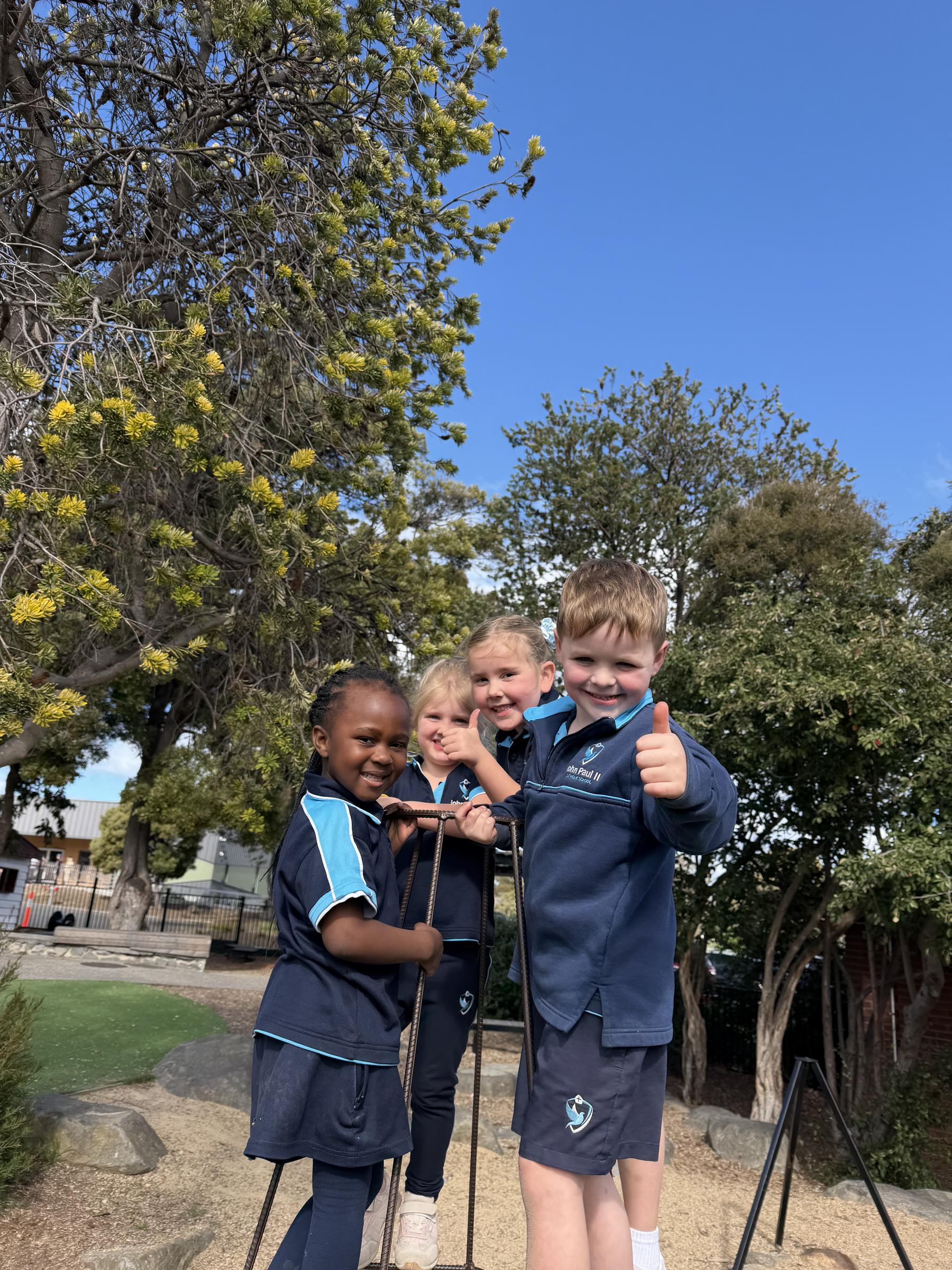 Kinder | Saplings Banner Photo
