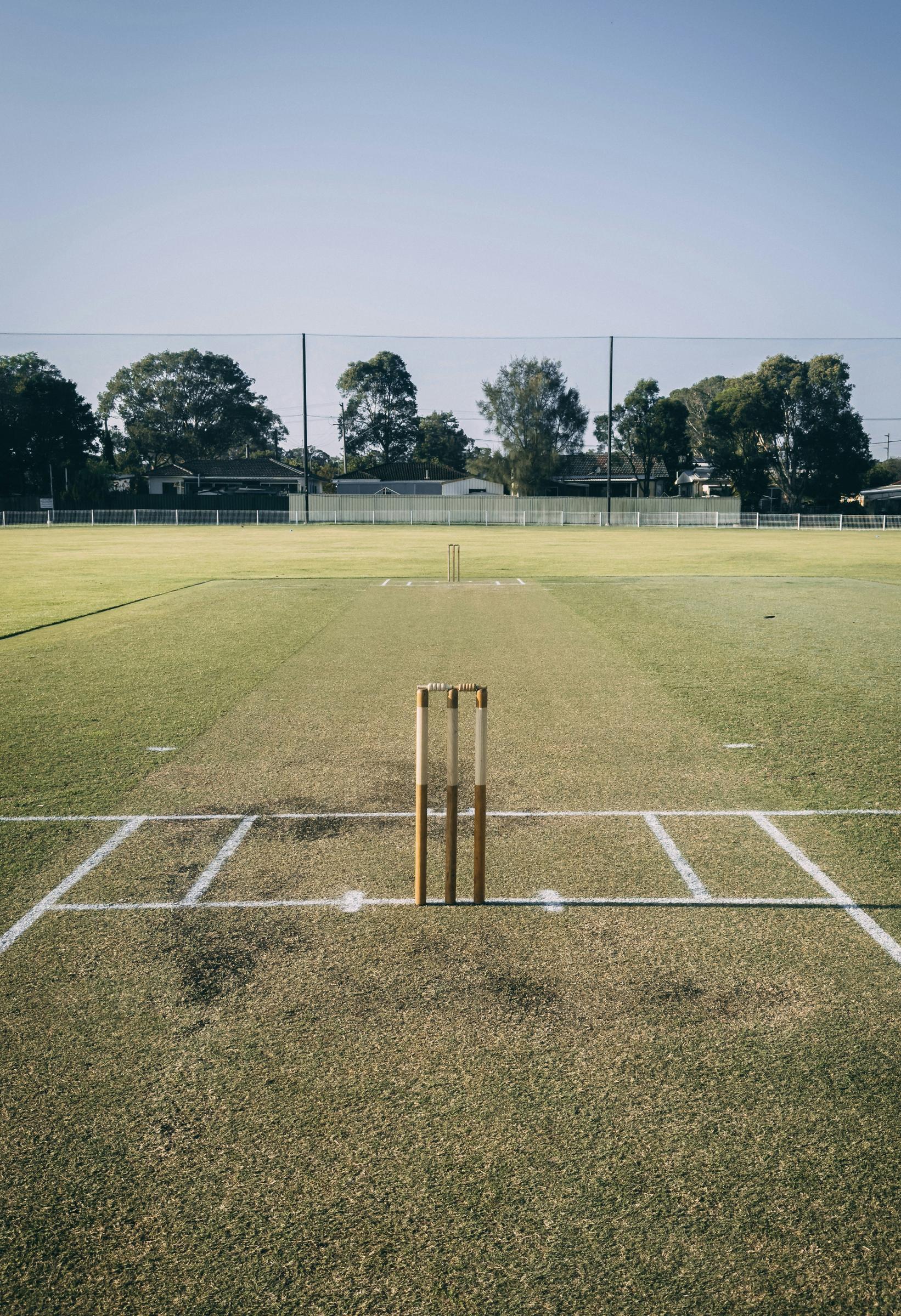 Cricket  Banner Photo