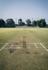 Cricket  Banner Photo