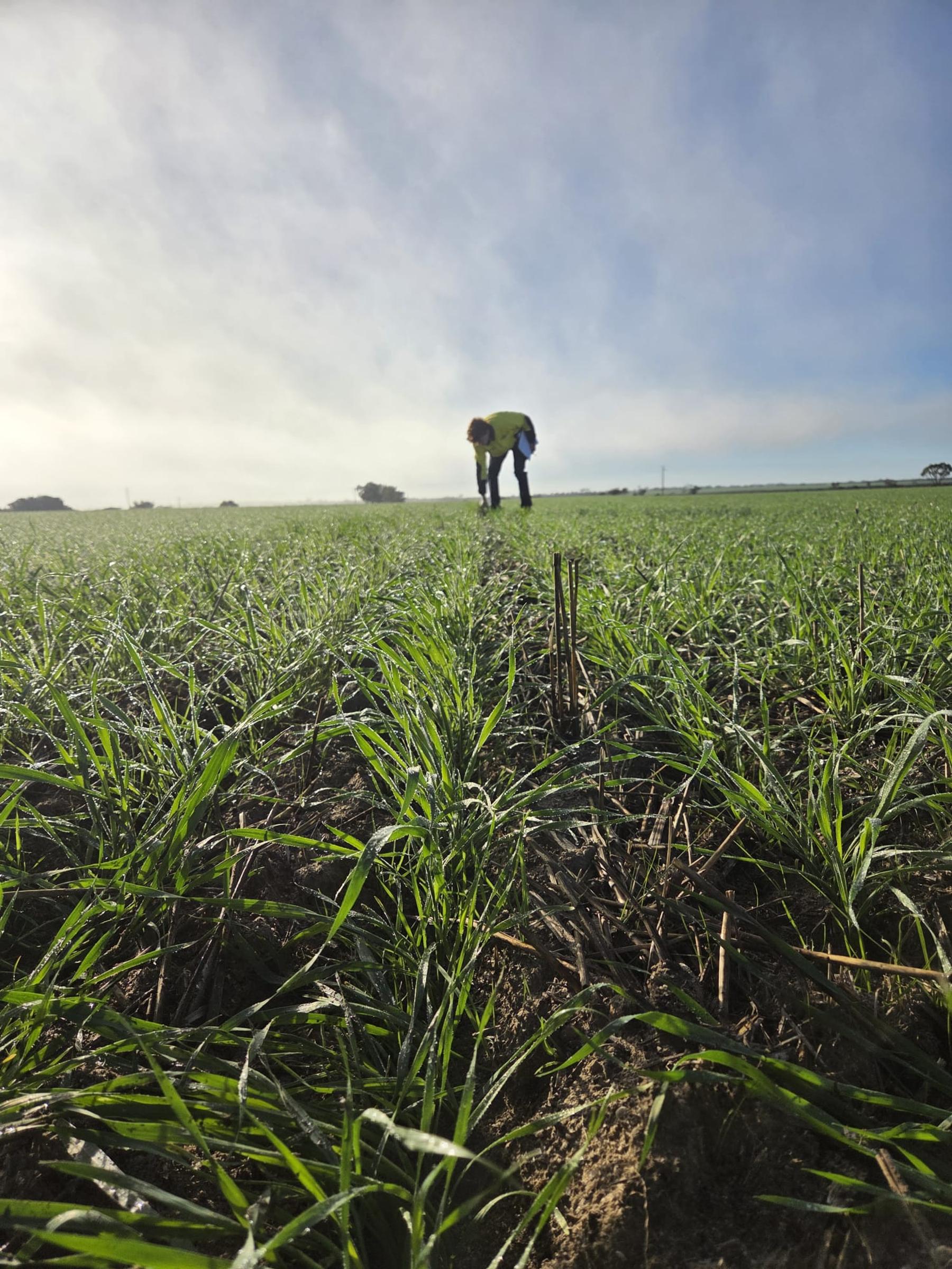 Farm  Banner Photo