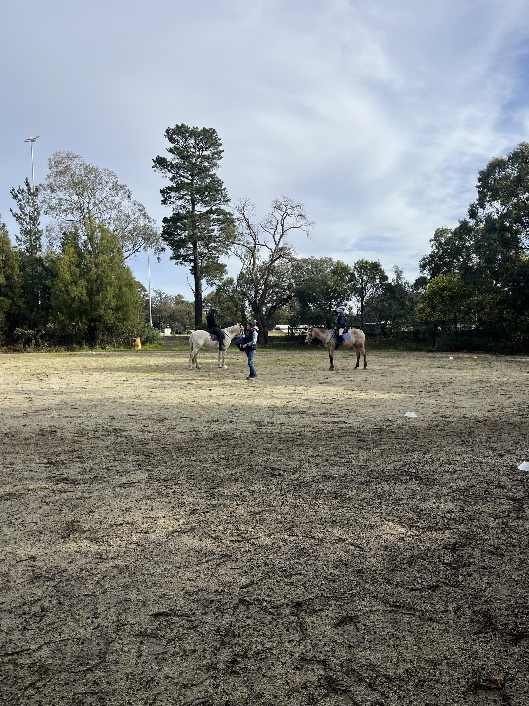 Virtual Coach Development session Banner Photo