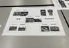 Languages Banner Photo