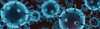 COVID-19 Update Banner Photo