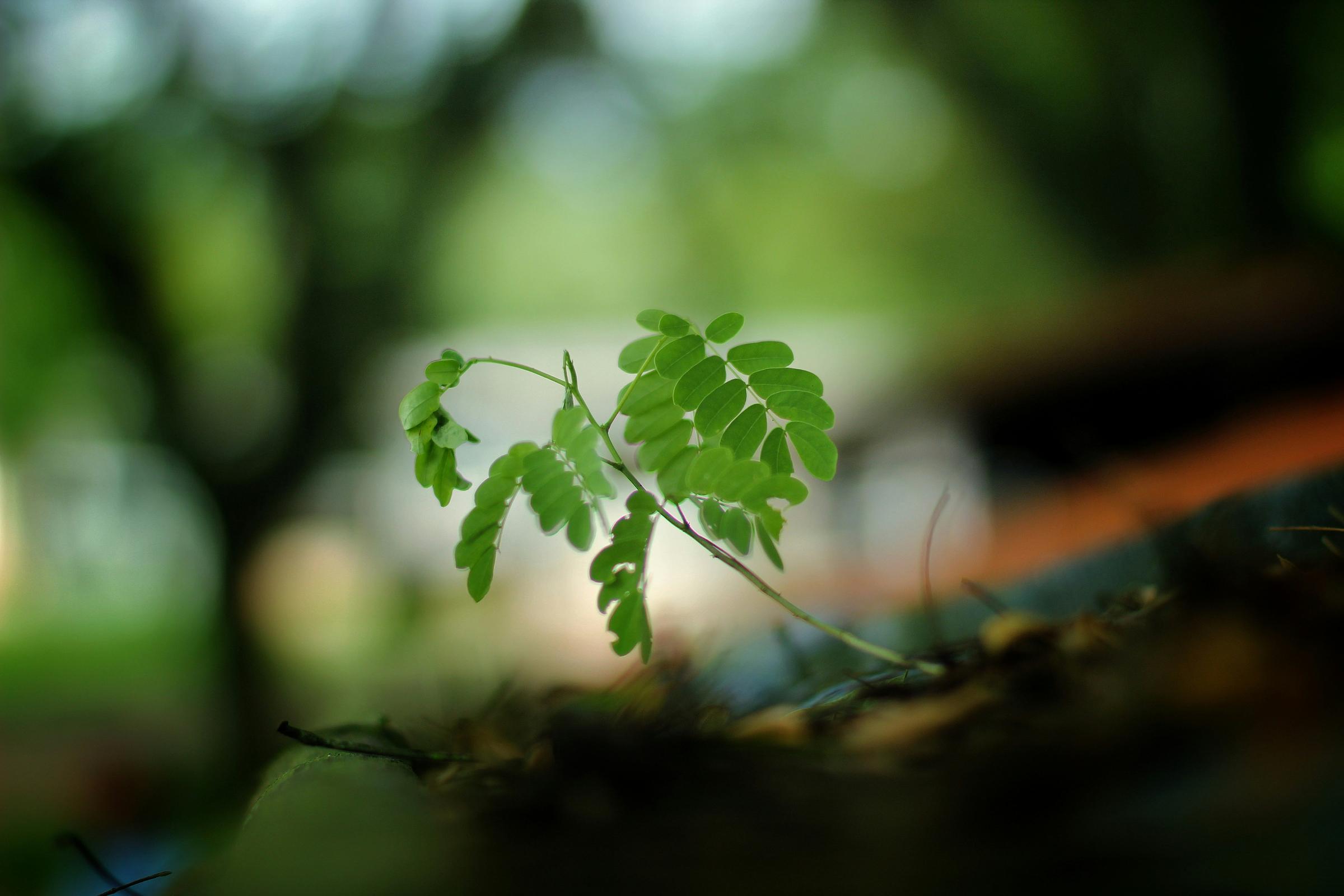 Banner Photo