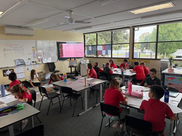 Curriculum                                                   Banner Photo