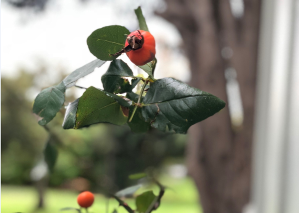 Office Oracle Banner Photo