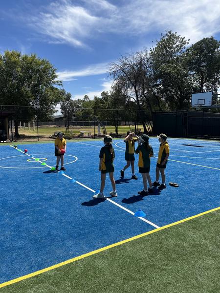 Physical Education Banner Photo