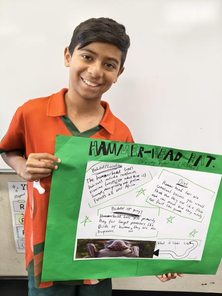 Year 5 News   Banner Photo