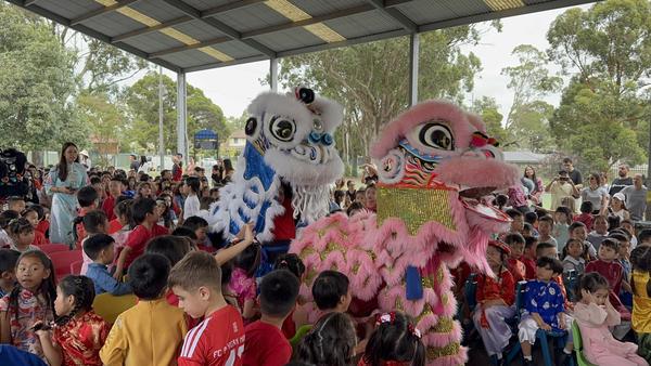 Lunar New Year Celebration Banner Photo